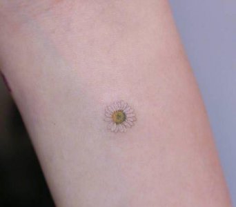 ​夏天小清新的纹身，把小花小草印在身上！你最喜欢哪一款？