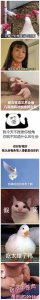 ​分享一组敲可爱的怼.人表情包原 图 戳 坪～
