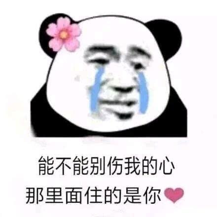 分享一组沙雕熊猫头表情包