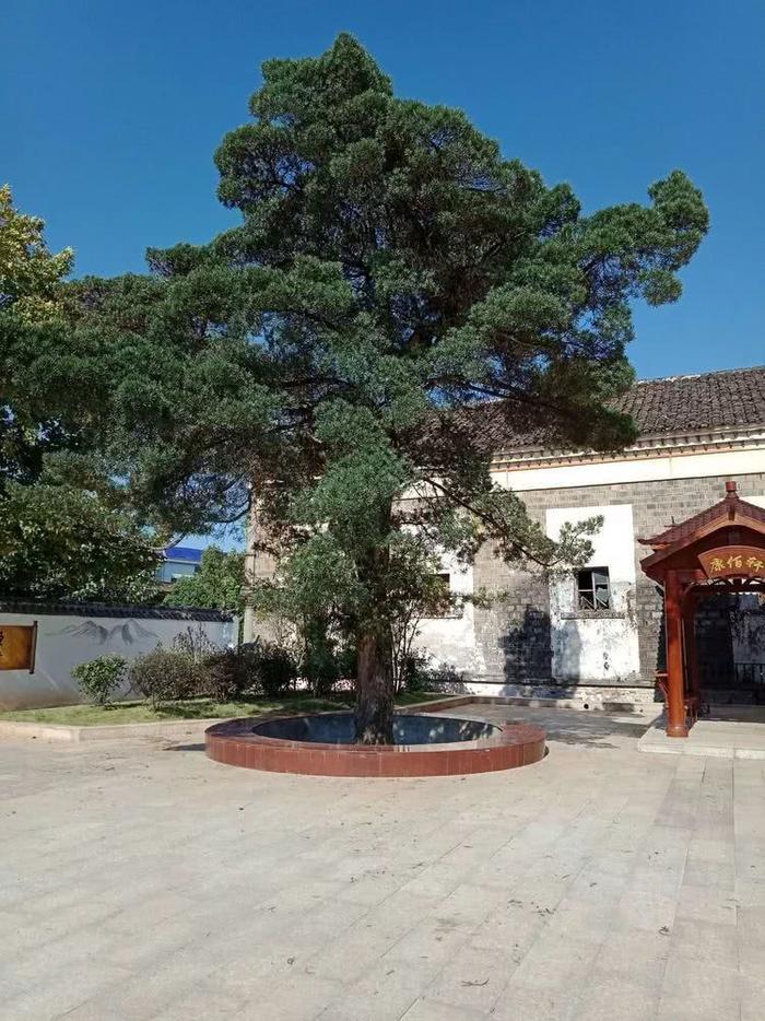 上饶弋阳的这个古镇，不简单！