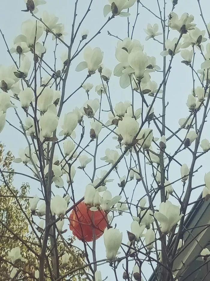 上饶弋阳的这个古镇，不简单！