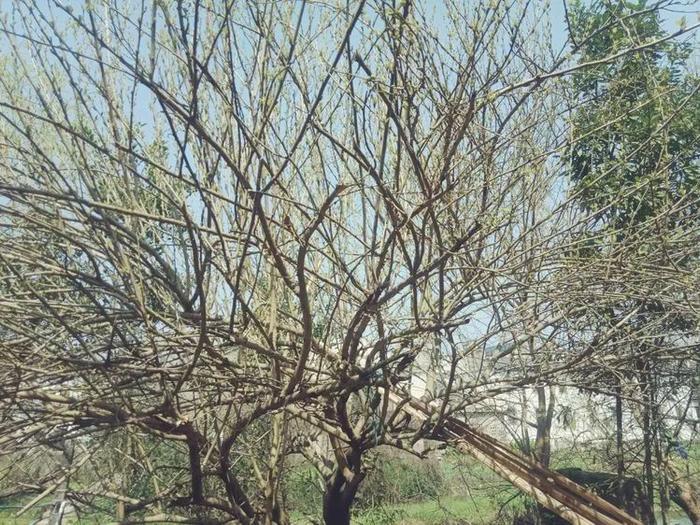 上饶弋阳的这个古镇，不简单！