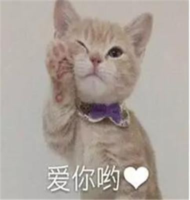 撩喜欢女生的表情包 最新撩妹表情包第4张