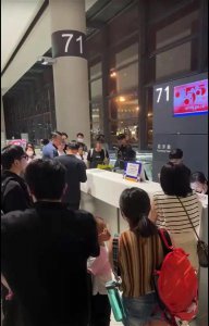 ​女子将仓鼠带上飞机致全体旅客下机？机场证实确有人带小动物