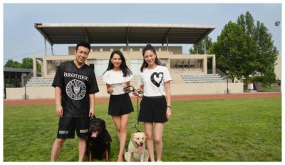 ​娱乐圈中的特种兵夫妻，二人贯穿整个系列，还有其他关系