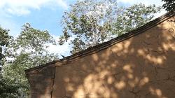 90后买不起房子怎么办？去终南山隐居吧，那里能买房也能租房