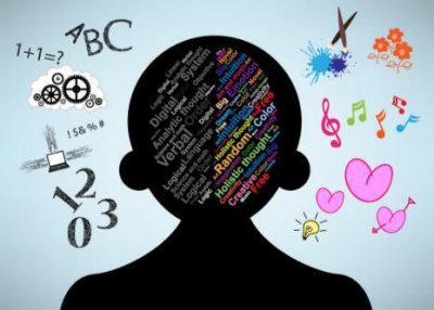 ​左右脑是怎么分工合作的，你了解吗？