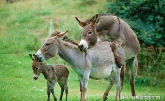 陕西特色小吃之——钱钱肉