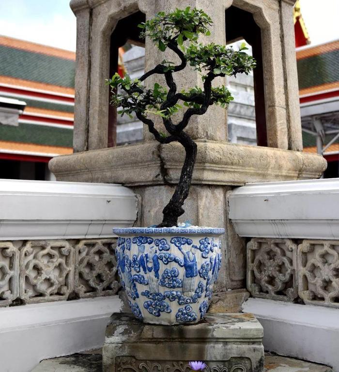 泰国曼谷，泰国最大的城市