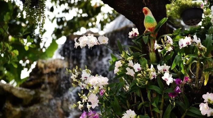 泰国曼谷，泰国最大的城市