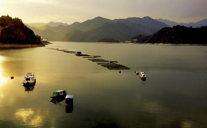 浙江实力最强的5大城市，温州第3，绍兴第4，台州第5，金华未上榜