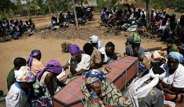 印象中的非洲贫穷落后，去完非洲后，网友：自己才是真的穷