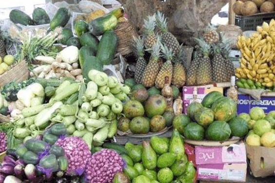 印象中的非洲贫穷落后，去完非洲后，网友：自己才是真的穷