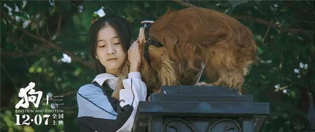 央视评选新“四小花旦” 这4位女星，你还满意吗？