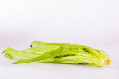 ​油麦菜的养殖方法和注意事项