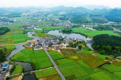 ​江西共青城市：秀美乡村美如画
