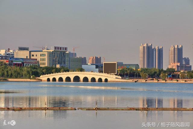 山东半岛城市群的八座城市一览