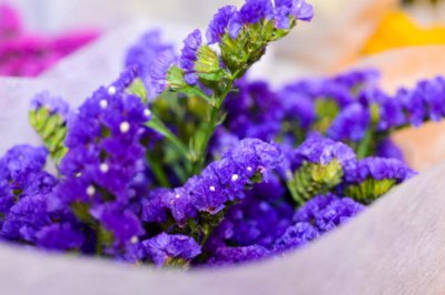 ​勿忘我怎么做干花