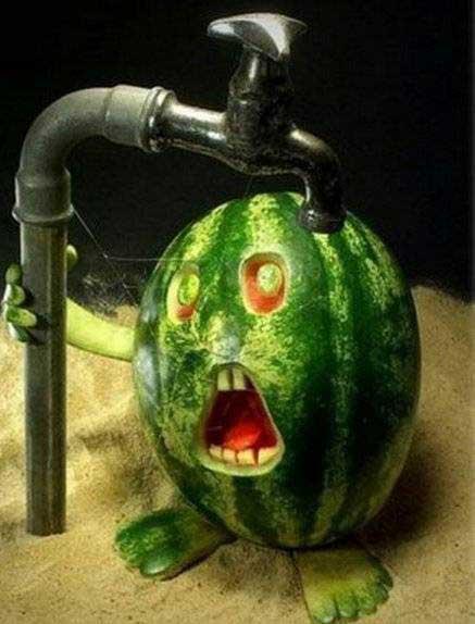 创意的水果雕刻艺术，太有才了！