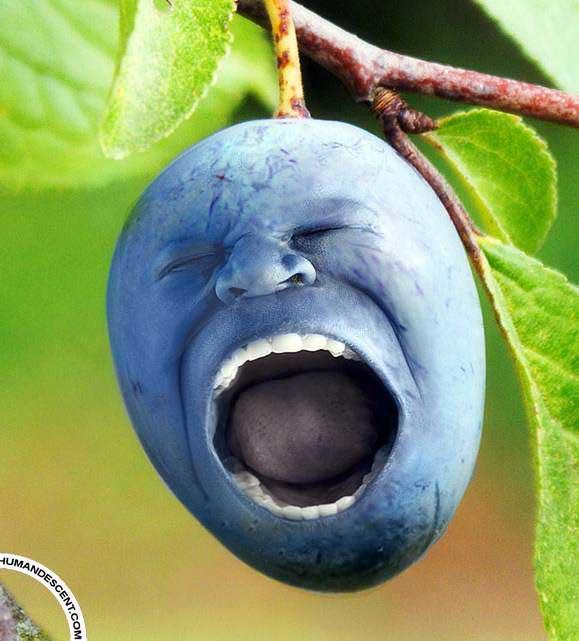 创意的水果雕刻艺术，太有才了！