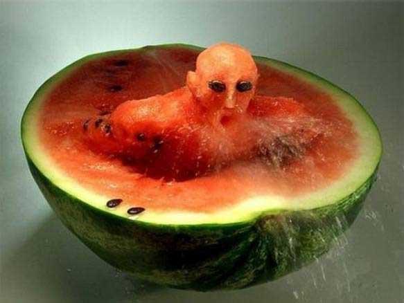 创意的水果雕刻艺术，太有才了！