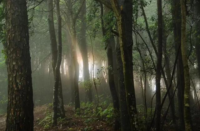 带你解锁宁波避暑漂流，炎炎夏日从酷热到畅爽，去了你就不想回