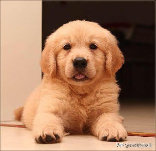 ​男朋友DNF的号被洗了，不开心，我怎么安慰也没用，怎么办