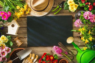 ​土茯苓的功效和作用