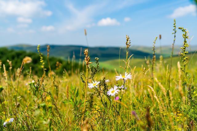 美如画卷张家口，草原天路、滦河神韵、中都草原都是你的诗与远方