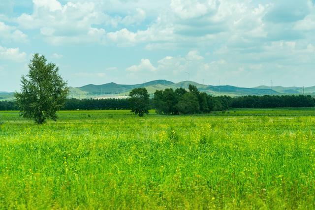 美如画卷张家口，草原天路、滦河神韵、中都草原都是你的诗与远方