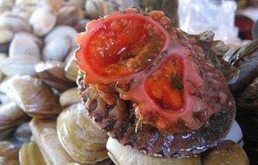 它曾是伪装之王，如今已被吃的濒危灭种，没有吃过更没见过