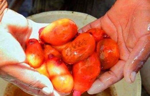 它曾是伪装之王，如今已被吃的濒危灭种，没有吃过更没见过