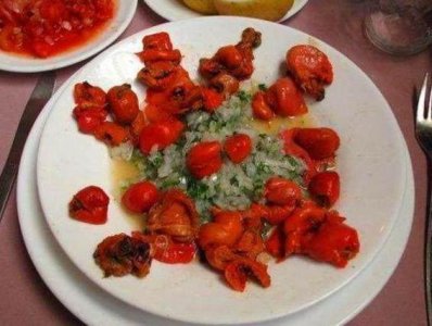 ​它曾是伪装之王，如今已被吃的濒危灭种，没有吃过更没见过