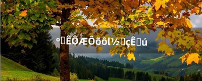 ​和彩云怎么连接电视机（七彩云电视怎么连有线)