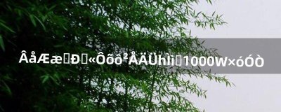 ​洛奇英雄传怎么才能一天赚1000W左右（洛奇英雄传一个月能赚多少钱)