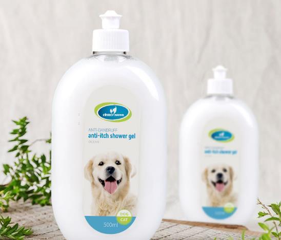 狗不能变吃屎吗？兽医哭不出声笑：你真是冤枉了那条狗