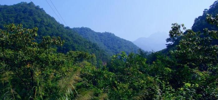 体验客都美景，梅州茶田度假景区，风光无限大好！