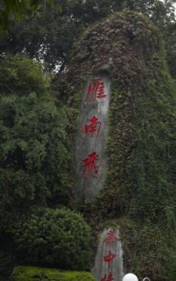 体验客都美景，梅州茶田度假景区，风光无限大好！