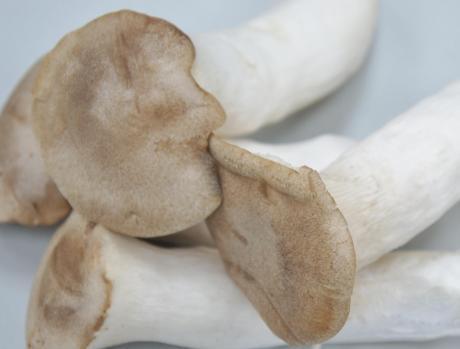 炸杏鲍菇，有人用淀粉，有人用面粉，大厨：做对了，香酥脆不回软