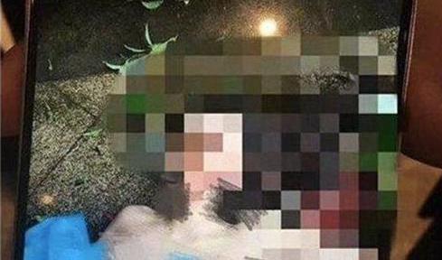 女星任娇凌晨2点坠楼身亡真相大白，死前被2人强行拉扯