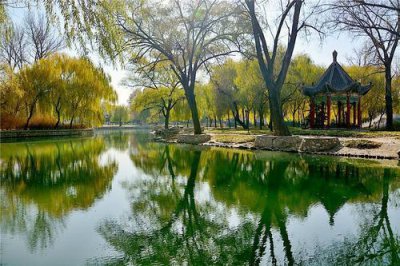 ​邢台有一“巨无霸”公园，面积巨大引人注目，无需门票适合亲子游