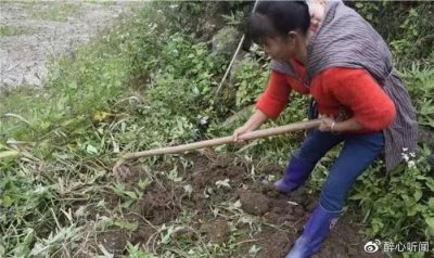 ​婚外情中，那些又脏又扎心的事实，希望你永远也不懂