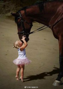 ​一组治愈人心的照片，看后心都要融化了