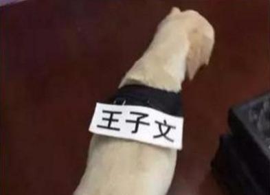 王子文老公近照曝光，背景强大没人敢惹，难怪隐藏了好多年