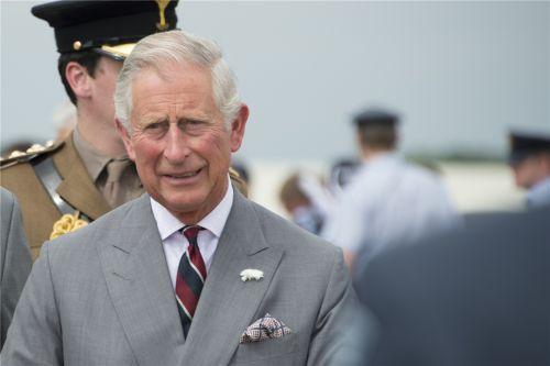 英国王室非常富有,过着富豪般的生活，那么王室成员是如何赚钱的