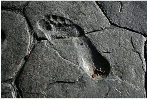 有人说，曾经捕捉到人腿鱼怪，生物学家说：纯属造假