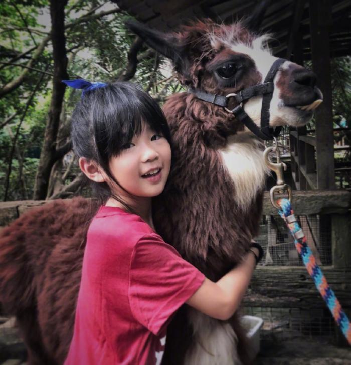 曹格女儿Grace长大了！包子脸变瓜子脸，颜值飙升像开了挂