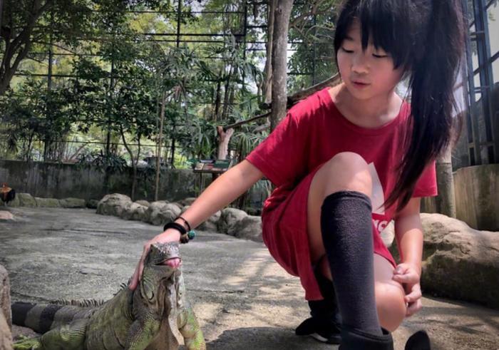 曹格女儿Grace长大了！包子脸变瓜子脸，颜值飙升像开了挂