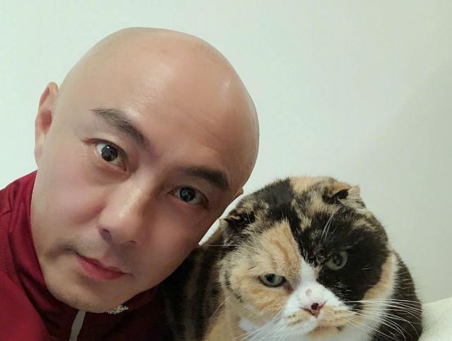 许志安出轨后，队友张卫健也被曝光陈年绯闻，组合4成员全有黑料