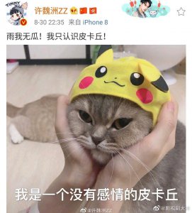 ​吴亦凡与鹿依luna恋情被曝后，有网友爆料鹿依luna和许魏洲也认识